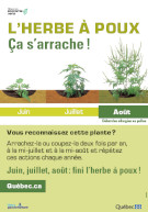 Image de la couverture du document.